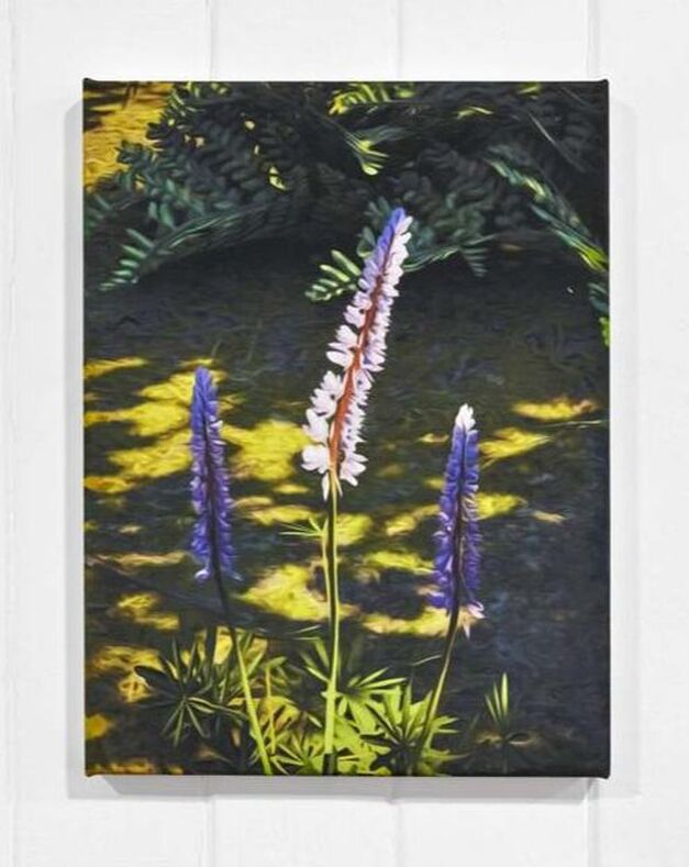 A painting of 3 tall flowers in a close up natural landscape, two flowers are purple and the one in the middle is white, with a slightly orange stalk.